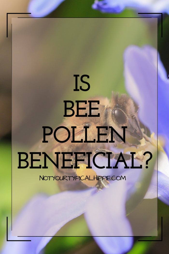 (Bee Pollen and Its Uses)