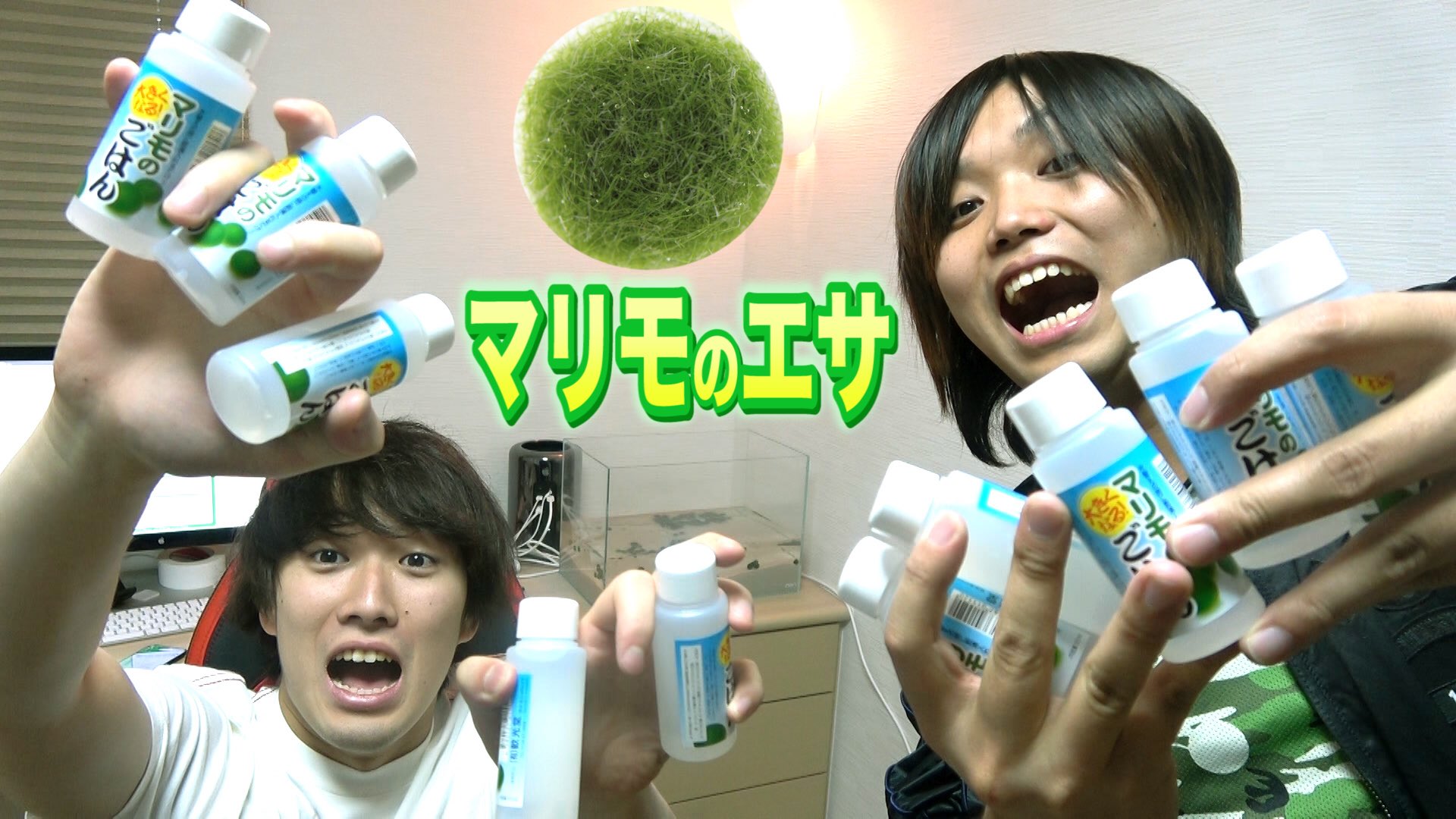 トミー 水溜りボンド 日常 カンタの部屋 マリモを超巨大化させるエサを大量に取り寄せたのであげてみた T Co Emzqytepd9 カンタの部屋シリーズ T Co A0cxczodps Twitter