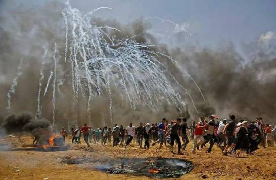 Medics:43 Palestinians killed and thousands injured during the ongoing protests east of #Gaza