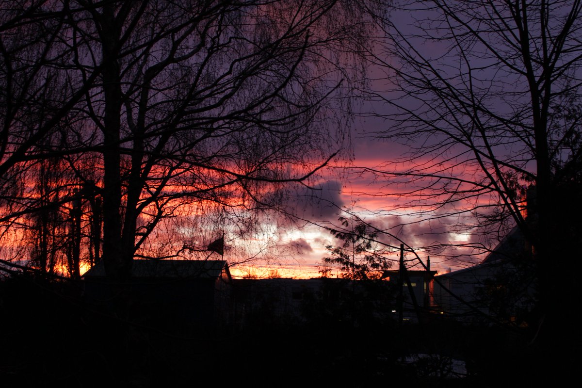 overkamp_films's tweet photo. View from the livingroom https://t.co/xgPB1Tr1B5