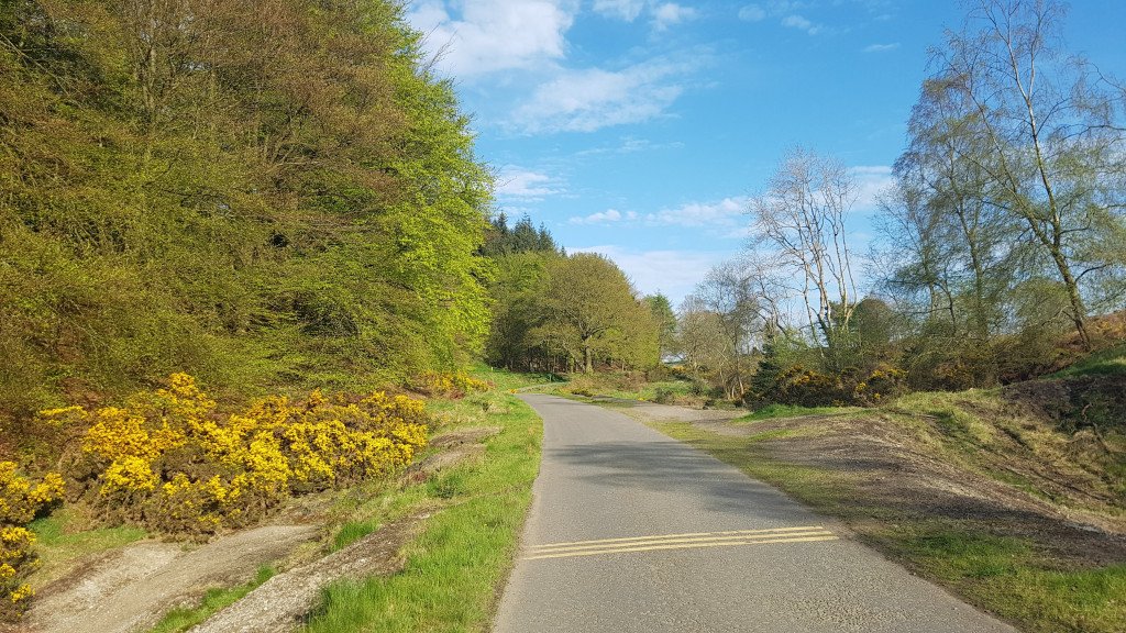 All Terrain Cycles tweet media