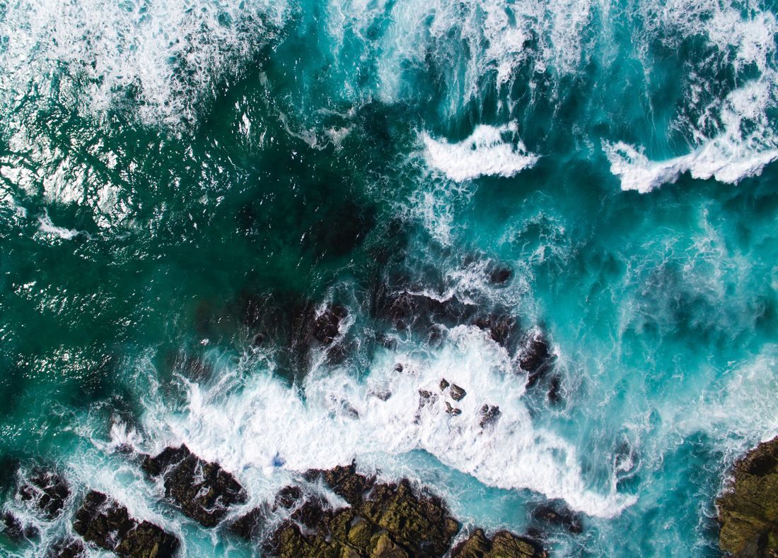 mcmsharksxx's tweet photo. Before you buy #sunscreen for this #summer, think about the coral reefs and #ocean! Here are my fave eco-friendly and ocean-safe formulas: https://t.co/xKVj05Bv5t || Please RT! https://t.co/kpvUpLMIX0