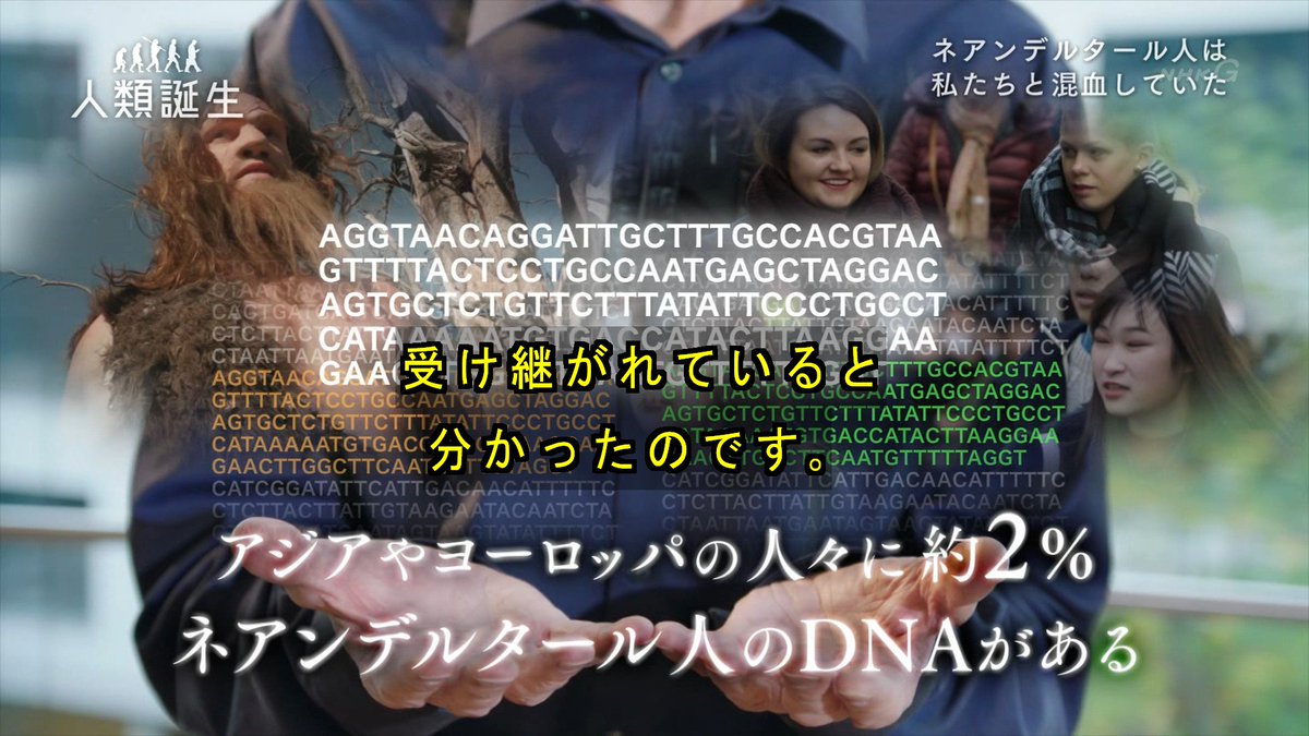 Shiroshitan ｎｈｋスペシャル 人類誕生 第２集 最強ライバルとの出会い そして別れ を見た 今回はネアンデルタール人に焦点を当てた内容 ホモサピエンスより屈強で 早くヨーロッパに進出したネアンデルタール人がなぜ絶滅したか謎に迫る 結局 ホモ
