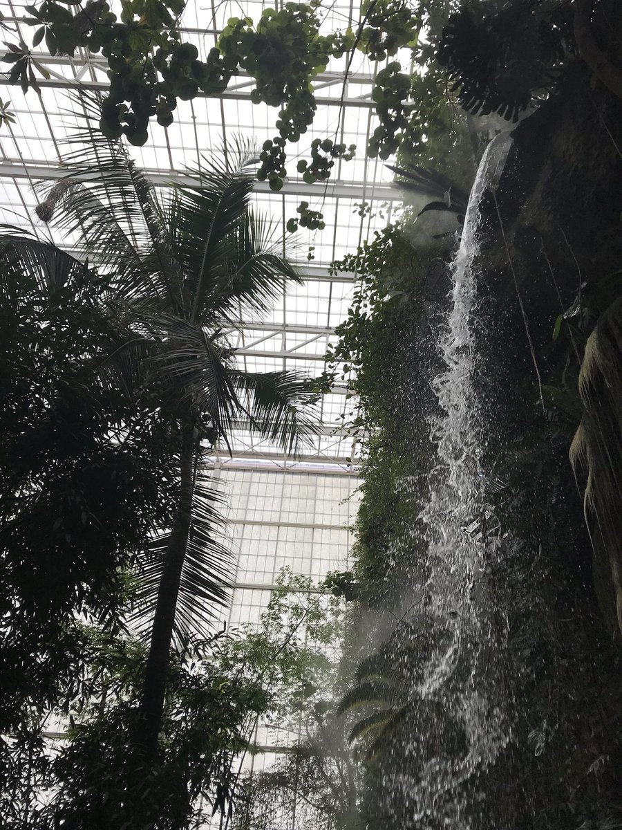 whitehallBPA's tweet photo. Highlights from the trip! #bpaallday https://t.co/vt4X8mPur1