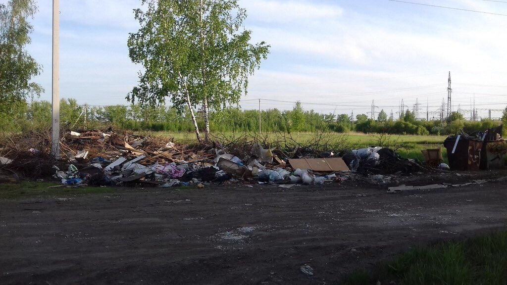 На ул.Школьная ,дорога ведущая к бывшему лагерю им.Руднева "очаровывает" своим пейзажем. Свалка образовывается на глазах!!!!мусор не вывозится !!!! Рядом лес,мусор растаскивают кошки,собаки и ветер в том числе!!!!!! @Ruslan_Butov <a href="/Tularegion71/">Правительство ТО</a> <a href="/myslo/">MySLO.ru | Тула</a>