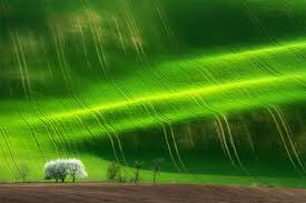 La #primavera llega para recordarnos que se puede florecer y comenzar de nuevo después de haber soportado muchas tormentas. #SPENDIN
