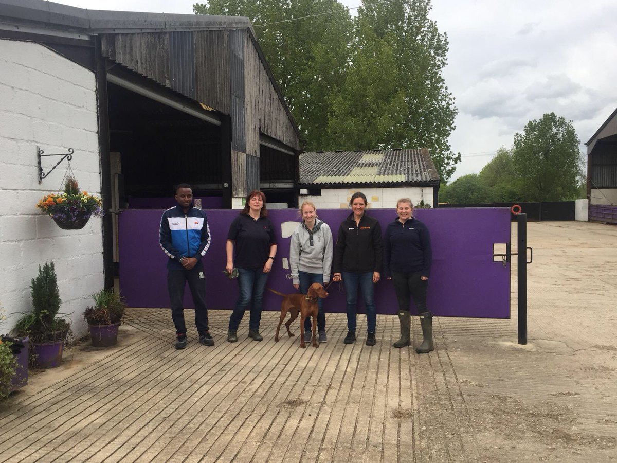 RacingTogether's tweet photo. Read how staff from @RacingtoSchool @careersinracing and @BHAPressOffice spent the day volunteering at @GreatwoodHorses in aid of Racing Together Community Day. #RTday 
Click here: https://t.co/6MYUZKgvzw https://t.co/1NMImh5RHM