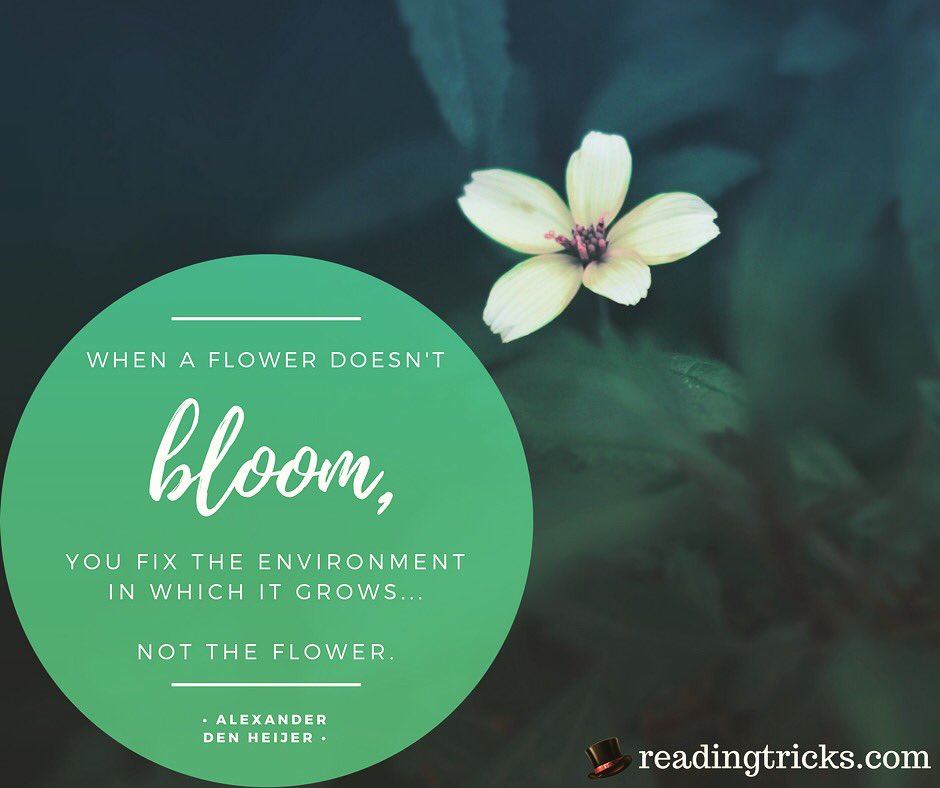 reading_tricks's tweet image. The heart of Reading Tricks... We want to help change the environment for different learners to help them thrive! #readingtricks #LearningDifferences