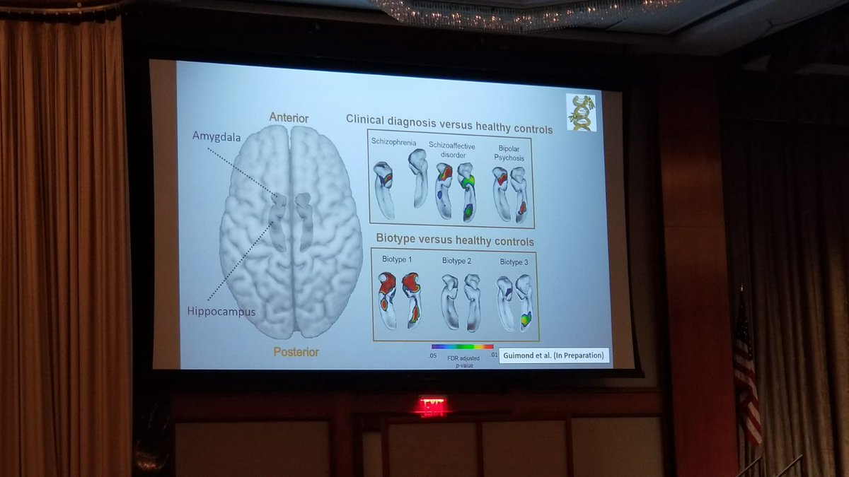 kayser_lab's tweet photo. #SOBP2018 was great - it's always nice to get up to speed on all the interesting research around 💡📚📊 https://t.co/7p5iCFdykM