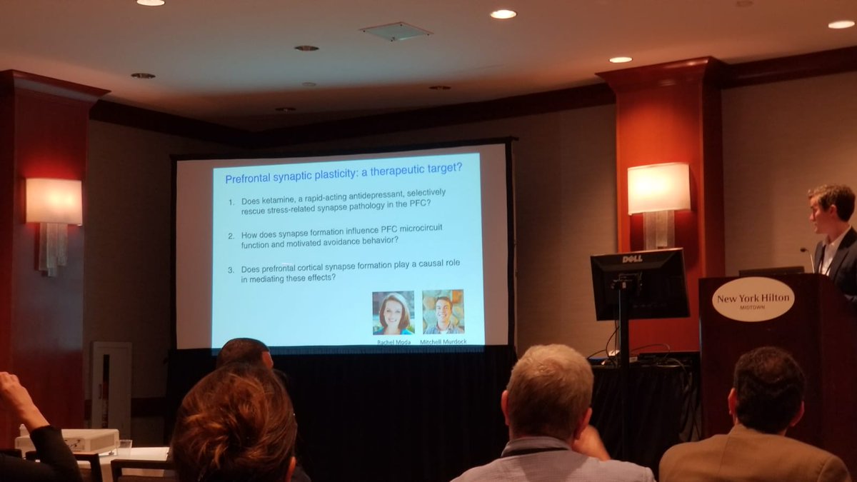 kayser_lab's tweet photo. #SOBP2018 was great - it's always nice to get up to speed on all the interesting research around 💡📚📊 https://t.co/7p5iCFdykM