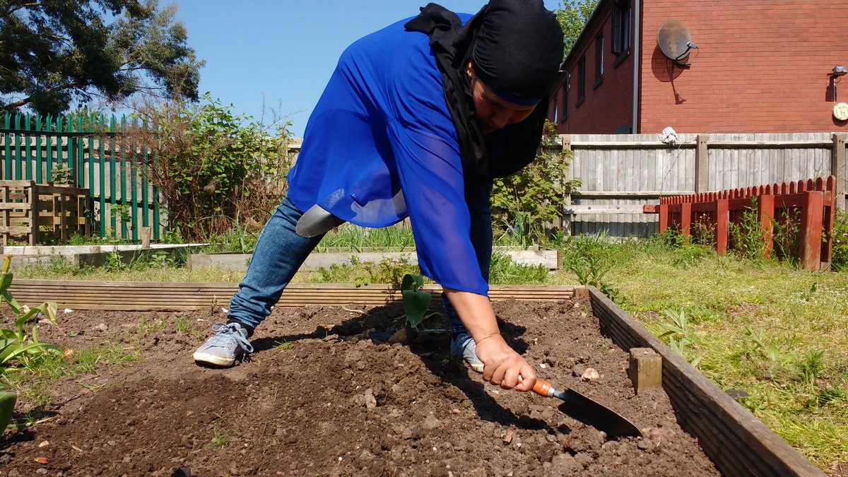 GrowHistory's tweet photo. Look at the work done in our last gardening session! Starting tomorrow @growhistory will be hosting gardening work days every Tuesday at 10am @ashianacp, 21-25 Grantham Rd, B11 1LU. Come down, get some exercise and learn to grow your own food @heritagelottery #gardening #exercise https://t.co/99jAflDIJn