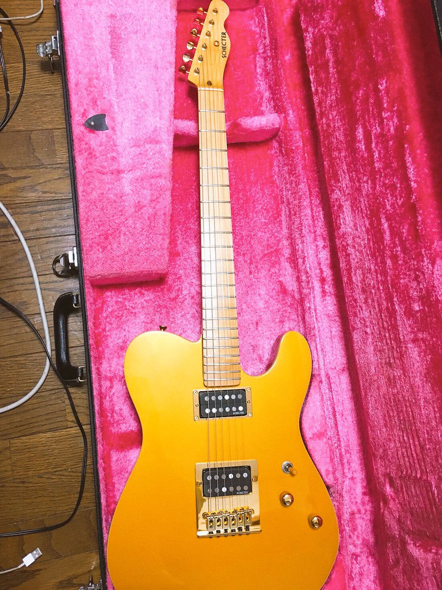 ついに新ギター購入！！！ The Whoのピート・タウンゼントがライヴ