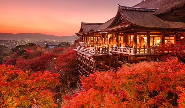 neko_nekodayo's tweet image. #Pledpharma #PledOx
#solasia

Is there any interesting topic about PledOx?

We are Japanese, and love PledOx.

solasia.co.jp/en/