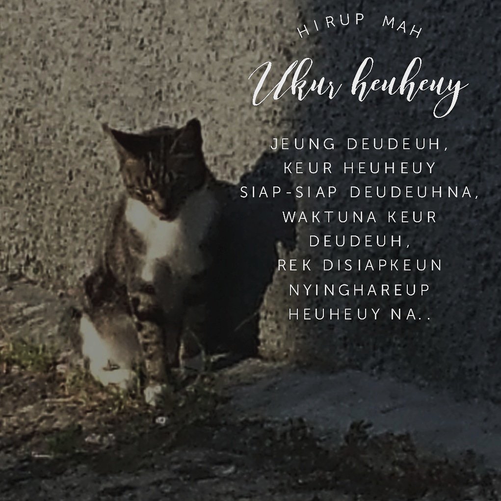 jhendriana's tweet image. Hirup mah ukur heuheuy jeung deudeuh, keur heuheuy siap-siap deudeuhna, Waktuna keur deudeuh, rek disiapkeun nyinghareup heuheuy na..

#android #androidphoto #droidgraphy 
#photodroid #photography #photo #Xperia #z3plus #infobdg #atuhlahplis #droidatuhlahplis #indonesia 
#Bandung