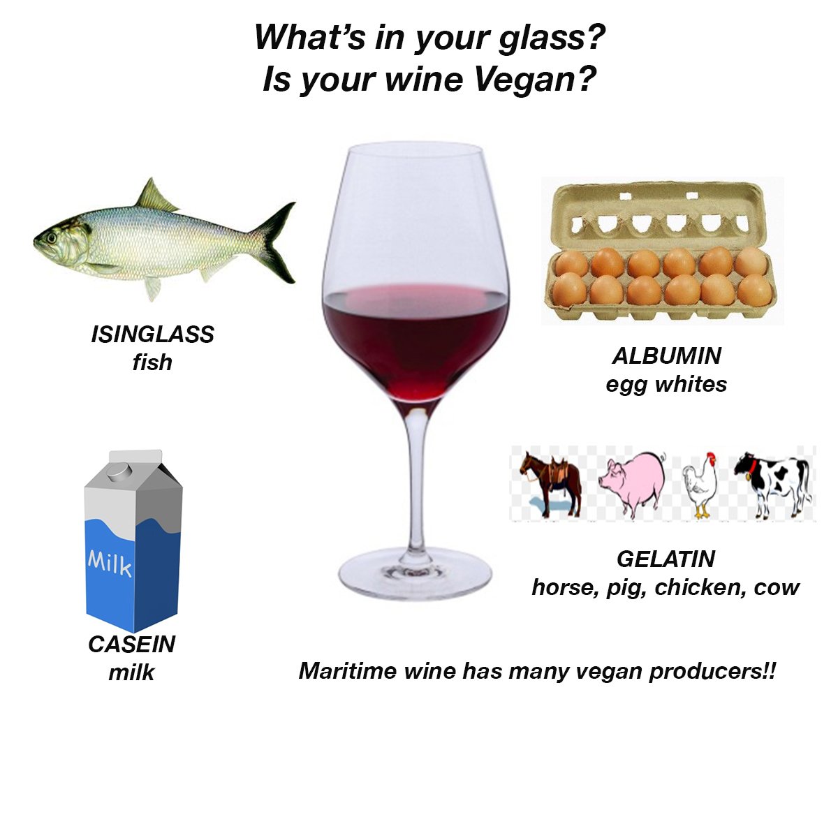 maritimewine's tweet photo. https://t.co/JFqc4ZSnVk https://t.co/wRiU3DSiwS