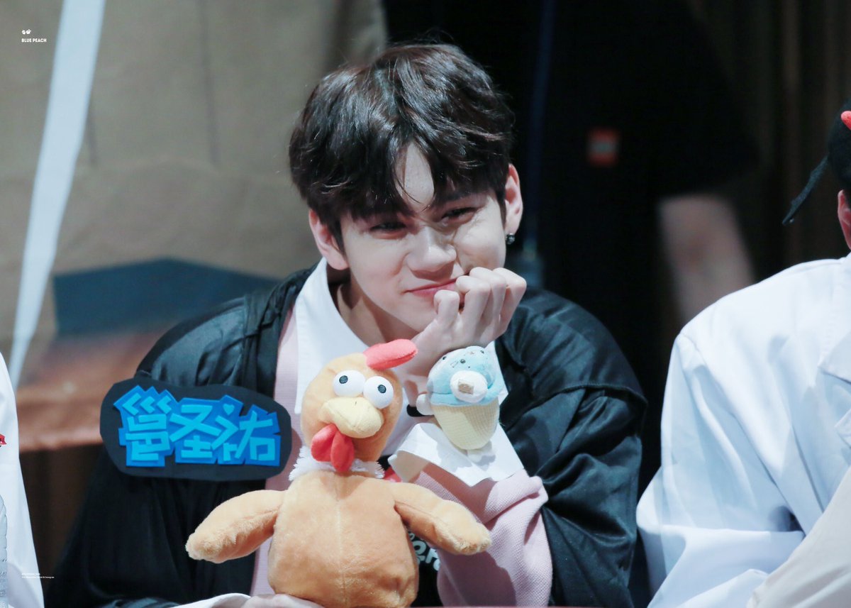 옹양이 🐱🐱🐱 tweet media