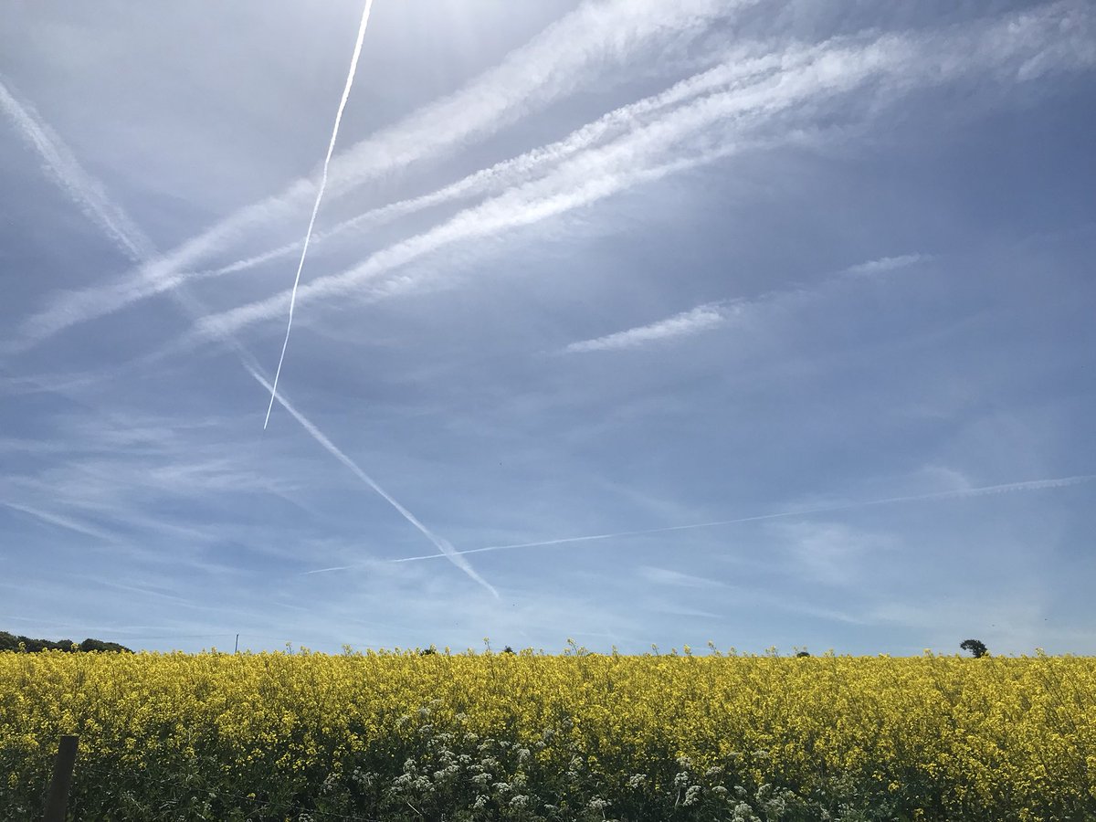 HumanStoryOx's tweet photo. #Starting #MentalHealthAwarenessWeek off with rehearsals for our #ScenesFrom event for
.@ThinkHumanFest .@oxford_brookes .@OxfordshireMind .@OxfordSams .@OxTheatreMakers .@OxfordNightline .@ace_national #newwriting #realissues #studentmentalhealth #theatre #Oxford https://t.co/AGKYwgvD61