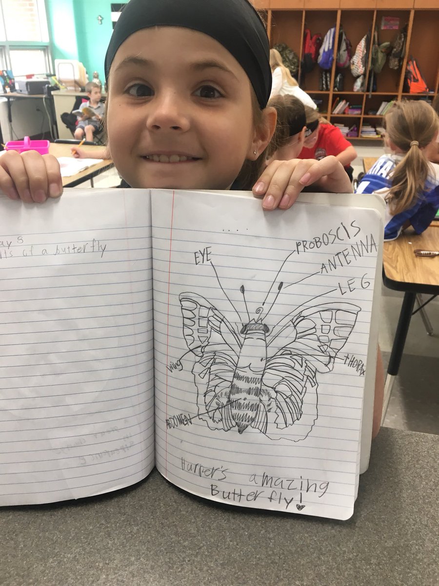 MrsWyattScience's tweet photo. Love how hard our students work at Assumption! #handdrawn #partsofabutterfly #welovescience https://t.co/bFzLYEn7AS