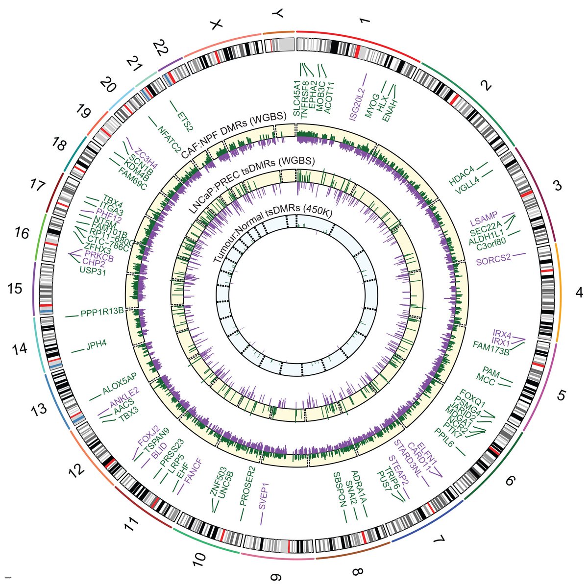 pdf economic evaluation in clinical trials