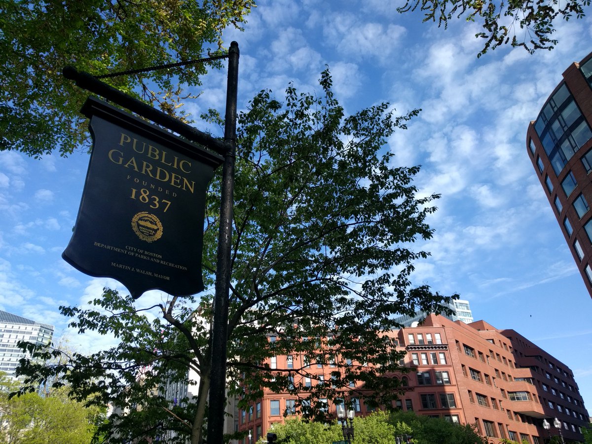 KurtKohlstedt's tweet photo. This poor (adorable) squirrel hoped my phone was edible. Also: the Public Garden in Boston is beautiful. So lovely to stay in theater districts and downtowns for this #RadiotopiaLive tour, all within walking distance of wonderful places. https://t.co/k6bQYi8efe