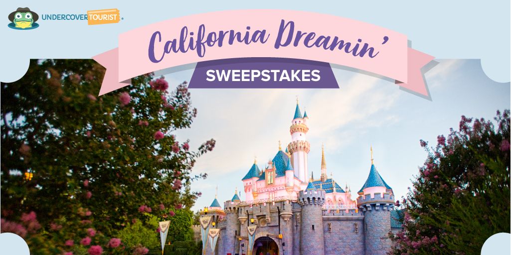ThemeParkFrog's tweet image. 💫Enter to win an exclusive 4-day vacation to Disneyland Resort sponsored by Undercover Tourist! 🌟

Package includes theme park tickets, hotel accommodations + ground transportation: buff.ly/2rEXhRo #sweepstakes #disneyland