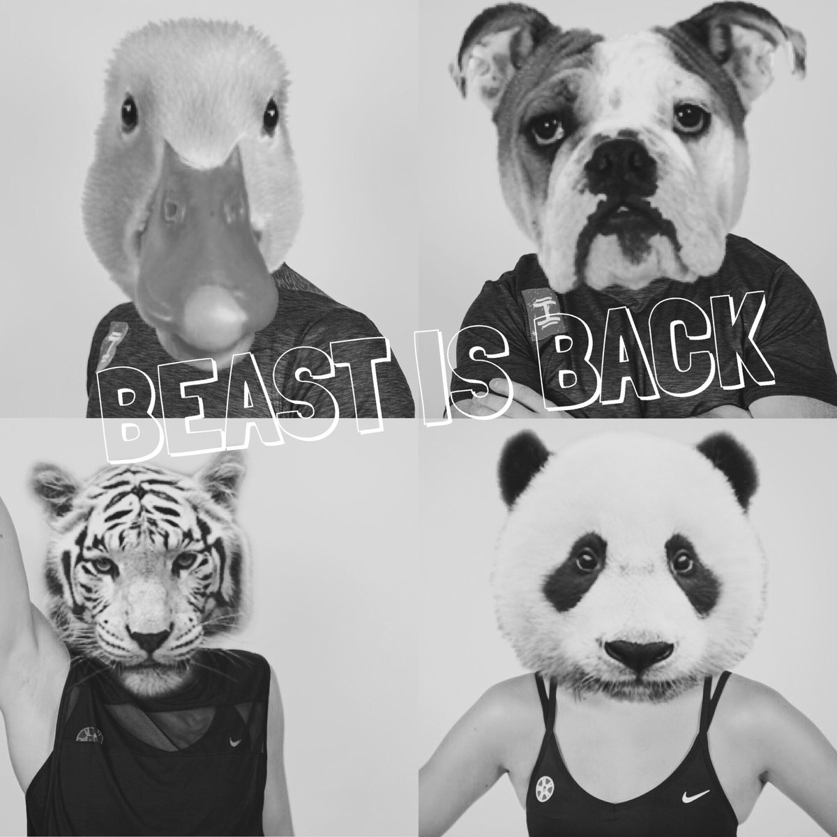 Best’s BEAST is back! 

What type of animal are you? 

7 workouts in 7 days for £70!

#hellweek #thebeast #bestsbootcamp #run #cycle #lift #weights #bootcamp