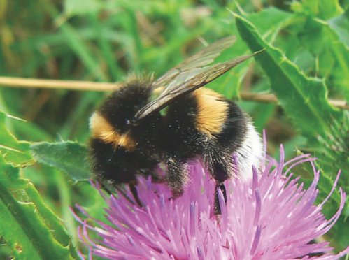 Southsea Lifestyle tweet media