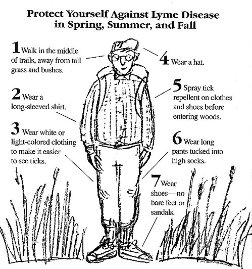 TRCA Restoration tweet media
