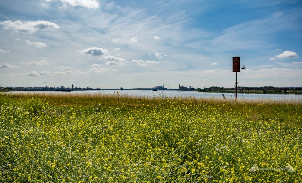 Barking Riverside London tweet media