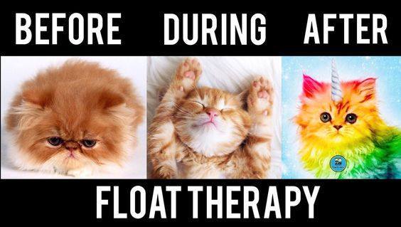 zenfloatsarnia's tweet photo. You don't have to stay grumpy and sore, we are open until 9pm today.  Book your appointment and enjoy the bliss. https://t.co/ogEc34rCyL https://t.co/DxtHnAUWo8
