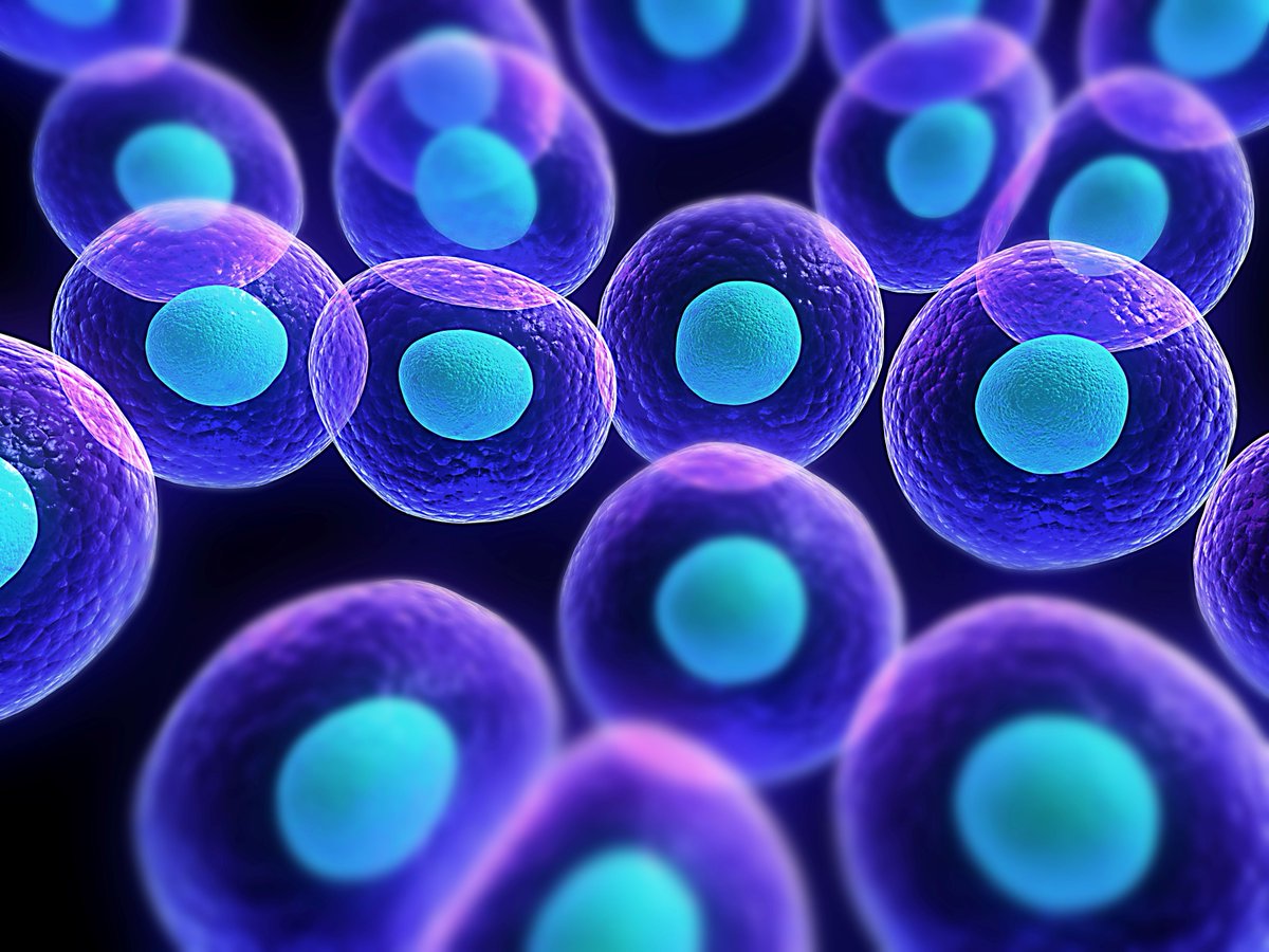CCTreatment's tweet photo. The CC Formula administers minerals to the cells directly through the skin’s dermal layers. These minerals are absorbed in lethal amounts by the diseased cells causing their death: https://t.co/Ewym91iYGJ #CCTreatment #health #immunotherapy #cellular #sod #redox #prevention https://t.co/vmldQXaskC