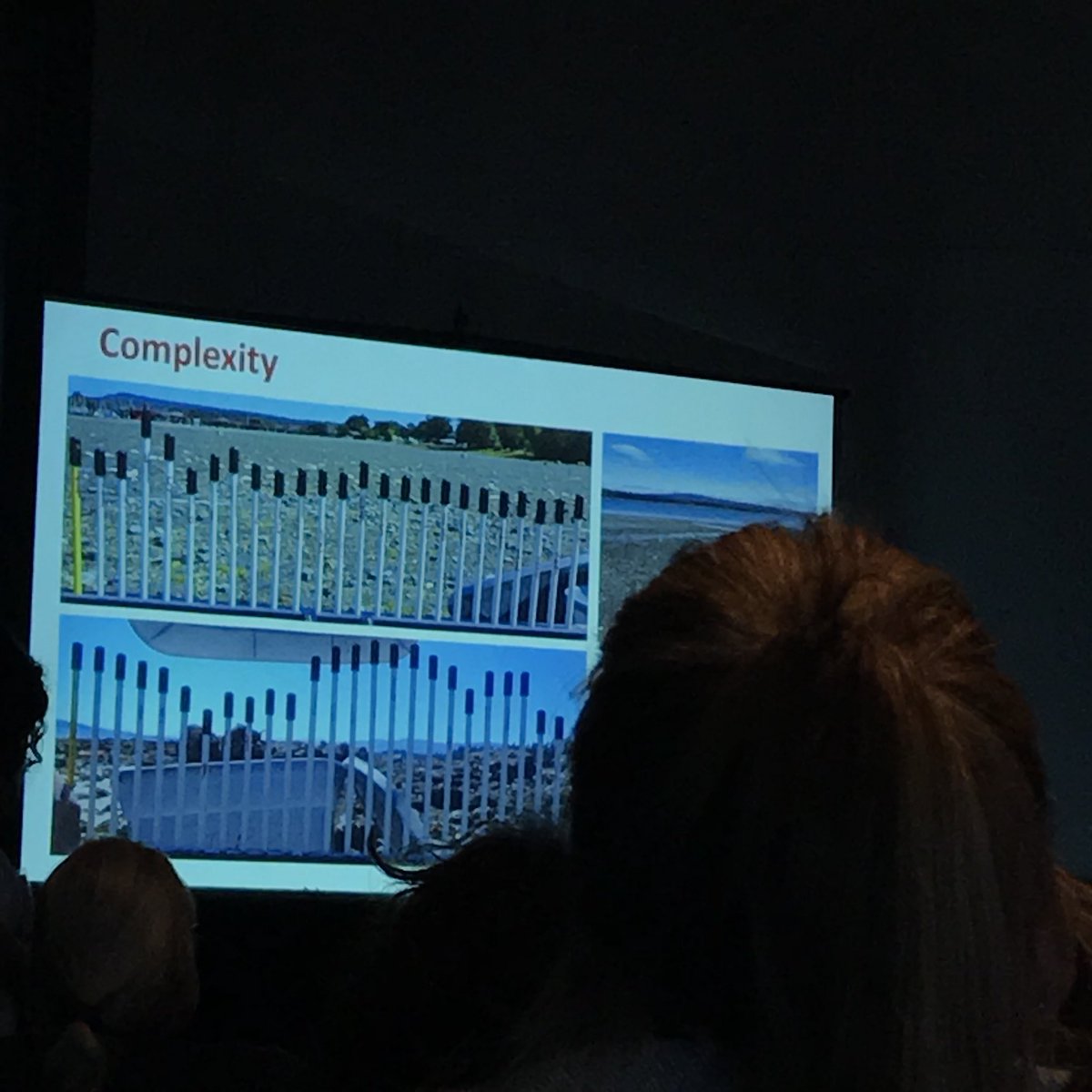 marine_kathleen's tweet photo. Increased structural complexity in oyster farms in #BaynesSound #BritishColumbia increases epifaunal diversity and doesn’t seem to affect functional diversity, infauna or fish assemblages @SarahDudas #524a   #WCMB2018 https://t.co/AHT2K75eFB