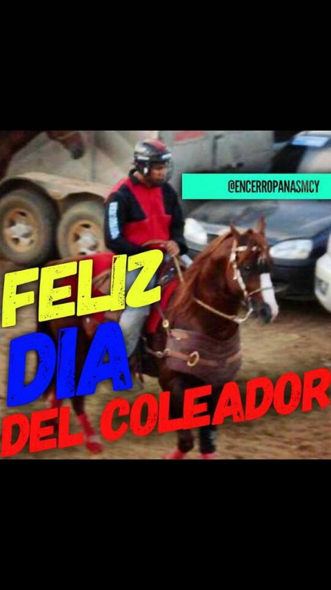 Apurelmascrioll's tweet photo. "El deporte del coleo de los hombres de a caballo Es la razón de vivir de manga en manga coleando Afincado en los estribos la vida misma arriesgando" FELIZ DÍA DEL COLEADOR 🐎 https://t.co/6Plbuohy74