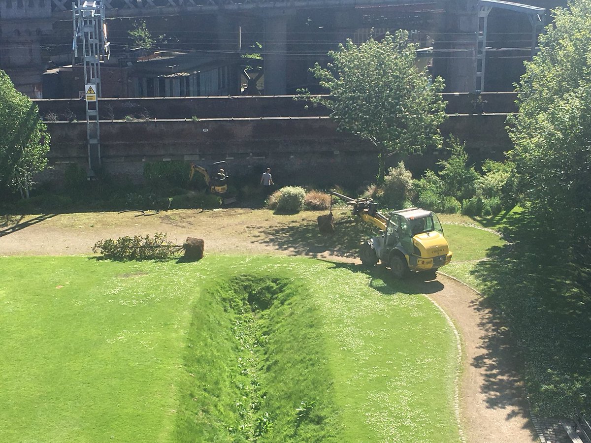 Castlefield Forum (@ourcastlefield) on Twitter photo We’re over the (blue) moon to see our new magnolia trees donated by <a href="/ManCityCouncil/">Manchester City Council</a> arriving in The Granary. We’re over the (blue) moon to see our new magnolia trees donated by <a href="/ManCityCouncil/">Manchester City Council</a> arriving in The Granary.