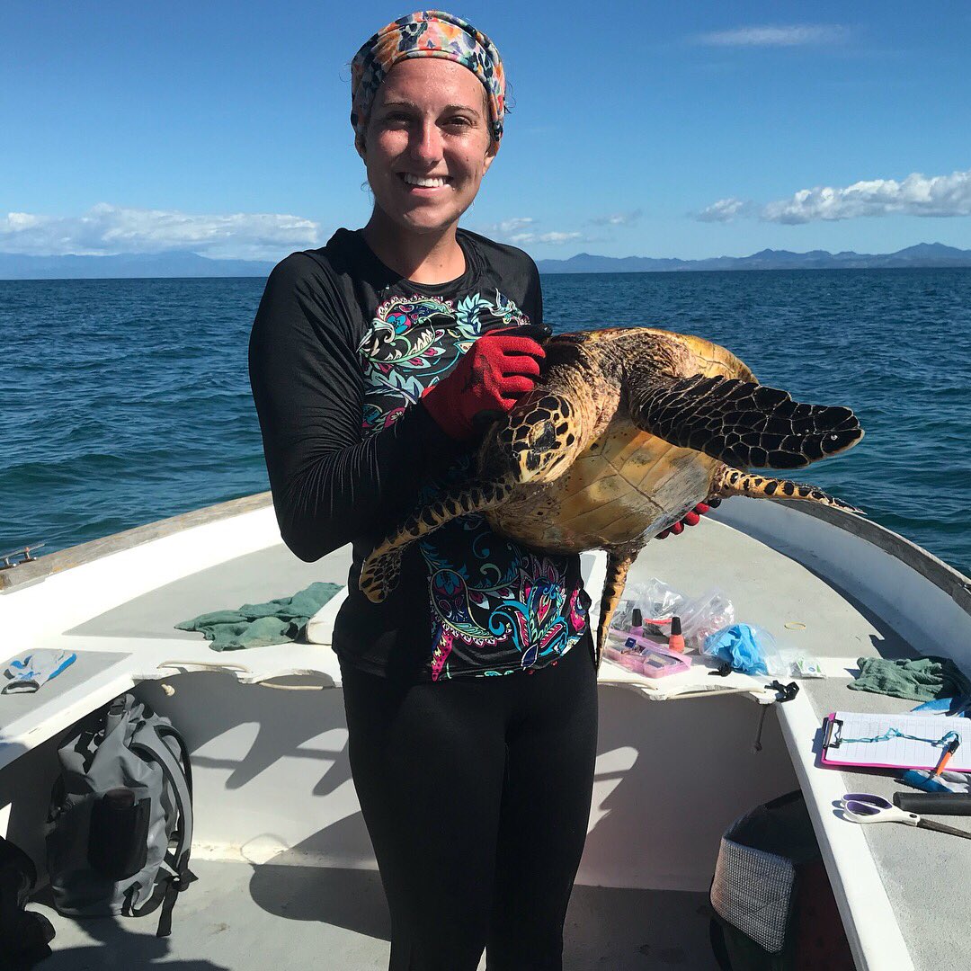 CourtneyKnauer9's tweet photo. Successful day #ChasingChelonids This is what I live for 🐢 Thanks @jjkiszka @MikeHeithaus @heithauslab_fiu and Happy Earth Apparel for making this season possible! https://t.co/PWqxm5R55C