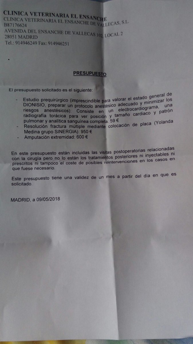 KaonChan's tweet photo. No suelo escribir por aquí, pero esta vez es necesario. Nuestro gato, Dionisio, se cayó hace una semana de un 5º. Tras la odisea de recaudar dinero para las primeras pruebas el resultado no es bueno: fractura multiple; 650e para amputar o 950 para intentar salvarle la pata. + https://t.co/xKyGEed92P