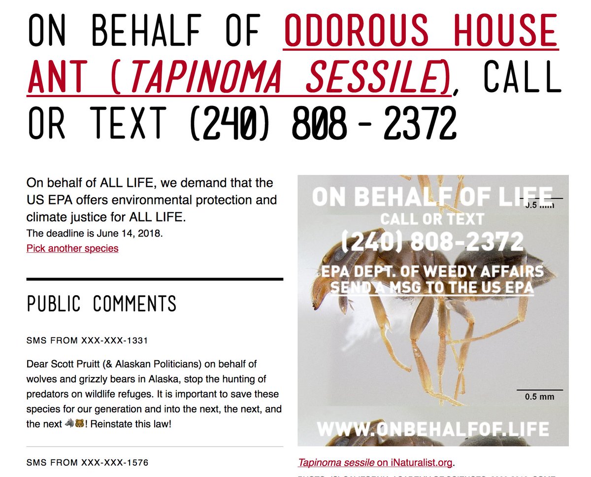 eirons's tweet image. Heartfelt, moving, fun &amp;amp; funny comments were submitted to onbehalfof.life @OPENENGAGEMENT yesterday. Add your 2 cents for ecological justice 4 all life! Tell @EPAScottPruitt what we need from @EPA #oe2018 #EnvironmentalPerformanceAgency: