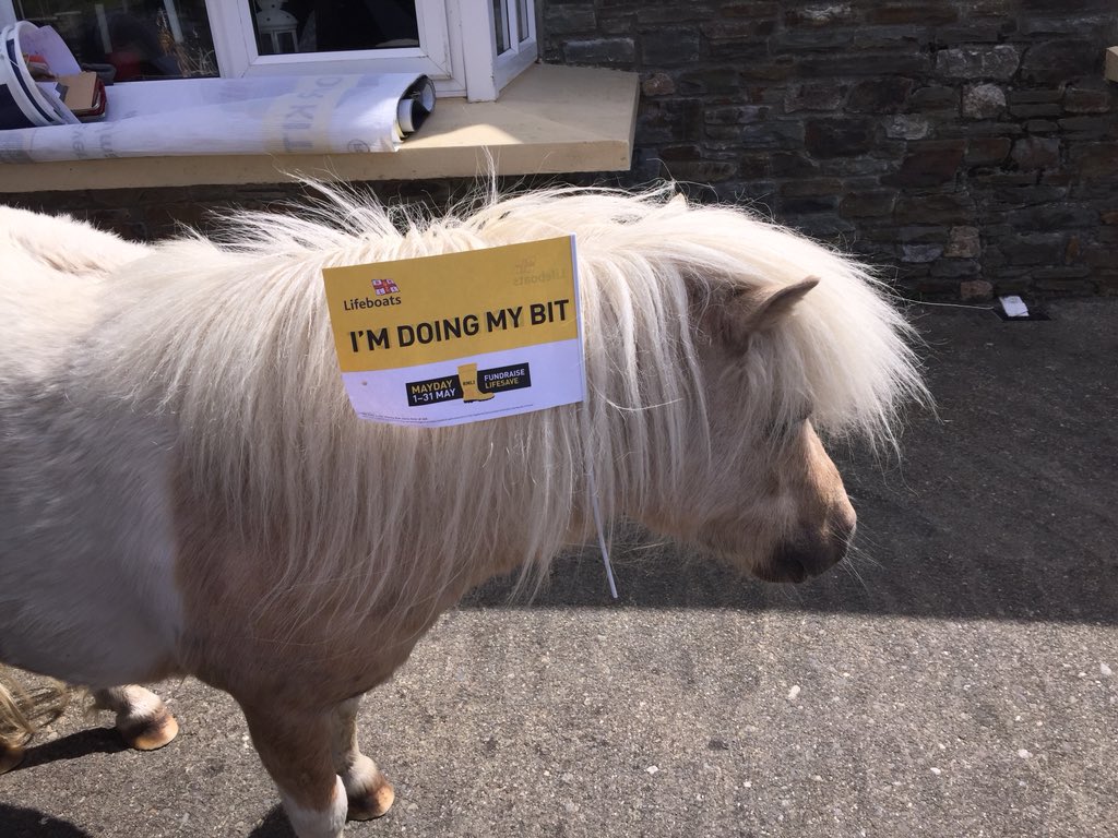 DeasyPamela's tweet photo. #Nelson giving a helping hand this afternoon 😃 #imdoingmybit @RNLI https://t.co/QwhqCA6xwa