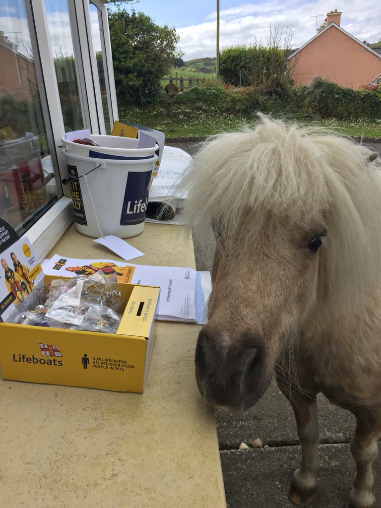 DeasyPamela's tweet photo. #Nelson giving a helping hand this afternoon 😃 #imdoingmybit @RNLI https://t.co/QwhqCA6xwa