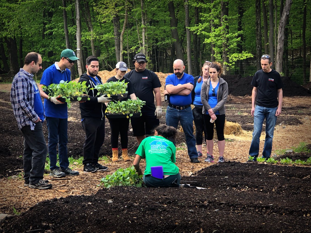 AllisonKern11's tweet image. @KonicaMinoltaUS employees had a great time volunteering with @MEVOearth on Friday! #KMCares