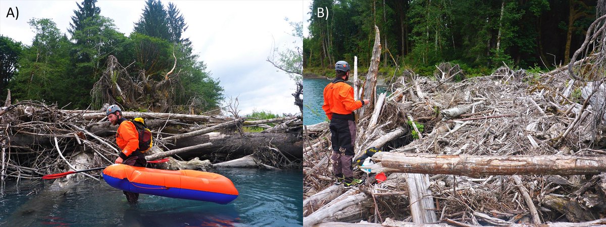 AGU_EPSP's tweet photo. May's EPSP Young Researcher Spotlight goes to Dan Scott (@GeomorphDan)!  Check out his work on wood in rivers: https://t.co/OWIy68letl https://t.co/jUvs7csI3f
