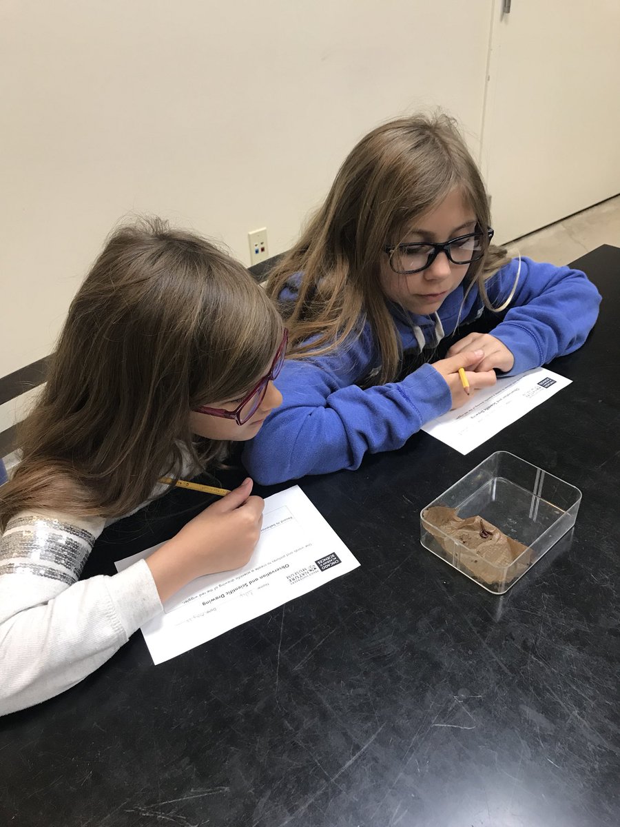 MrsAirdo's tweet photo. My scientists investigating red wiggler worms on our field trip to the Peggy Notebaert Nature Museum. #d84ontrack @D84North https://t.co/NW4DlicBos