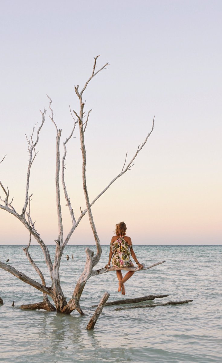 claudia_pdv's tweet photo. Enamorada de esta isla🏝 HOLBOX, México. #island #paradise #caribbeanlife https://t.co/rX6T1s6OxO