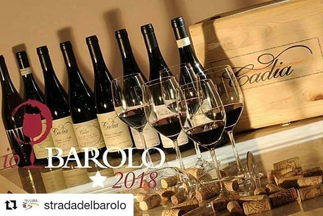 IncExperience's tweet photo. #Repost @stradadelbarolo (@get_repost)
・・・
A Io, Barolo 2018 sarà presente anche l’Azienda Agricola @cadiawine, che sorge sull’omonima collina, immersa nel verde fra i comuni di Roddi e Verduno, in un’ottima posizione per la produzione di #vini di grande qualità. @cadiawine,… https://t.co/hTfn3I75dc