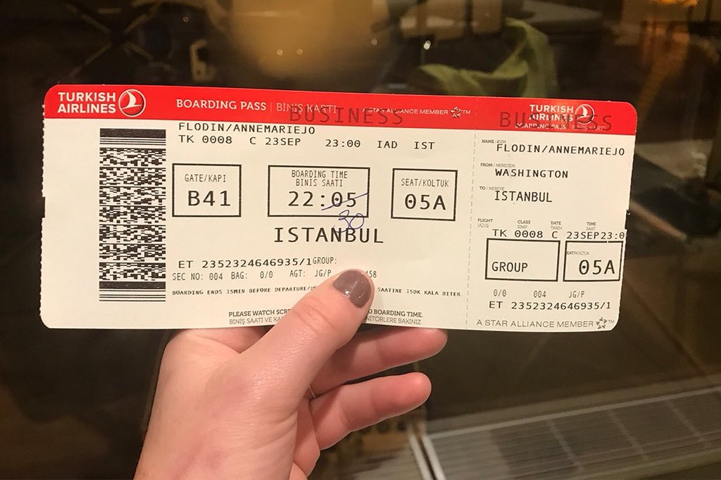 билеты на самолет туркиш эйрлайнс