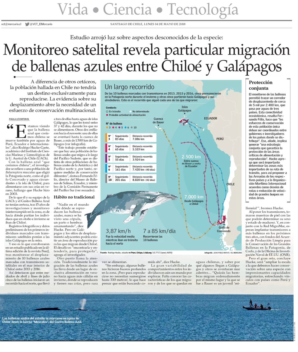 Oceana en Chile tweet media