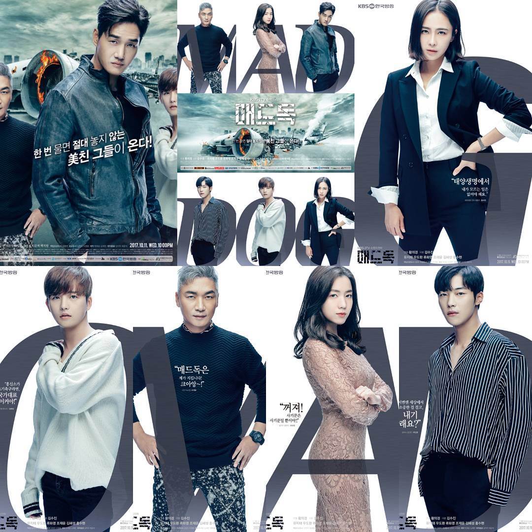 Mad Dog- group of insurance investigators + good looking swindler (lol) who are connected to an airplane crash accident. Tech guy, hwayoung & swindler are eye candies. Corruption, solving cases, teamwork 