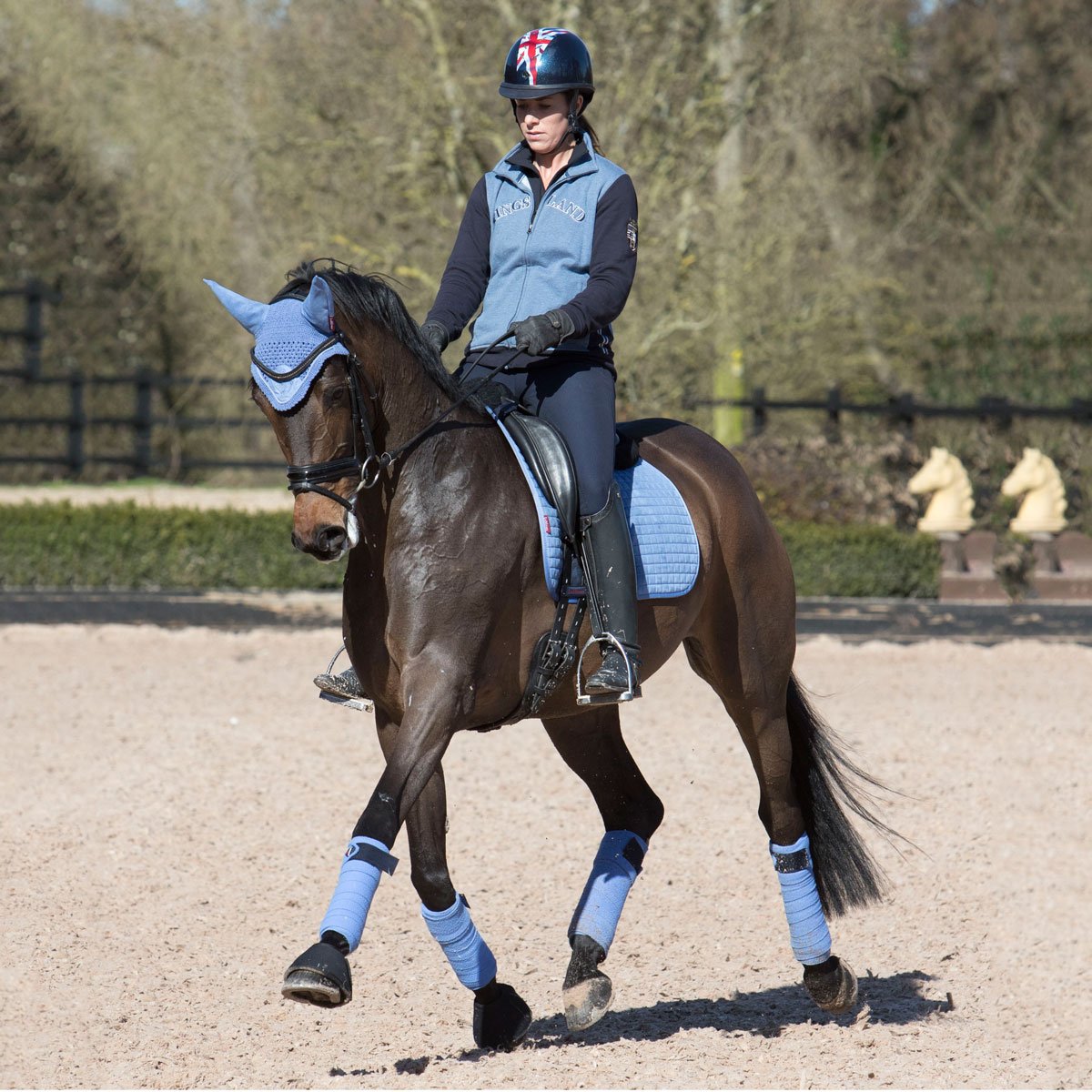 RedpostEq's tweet photo. Charlotte Dujardin and her horse looking stunning in LeMieux Corn Blue 💙 https://t.co/rUGjoJKbXX #lemieux #redposteq #matchymatchy https://t.co/4zouHEy9Dd