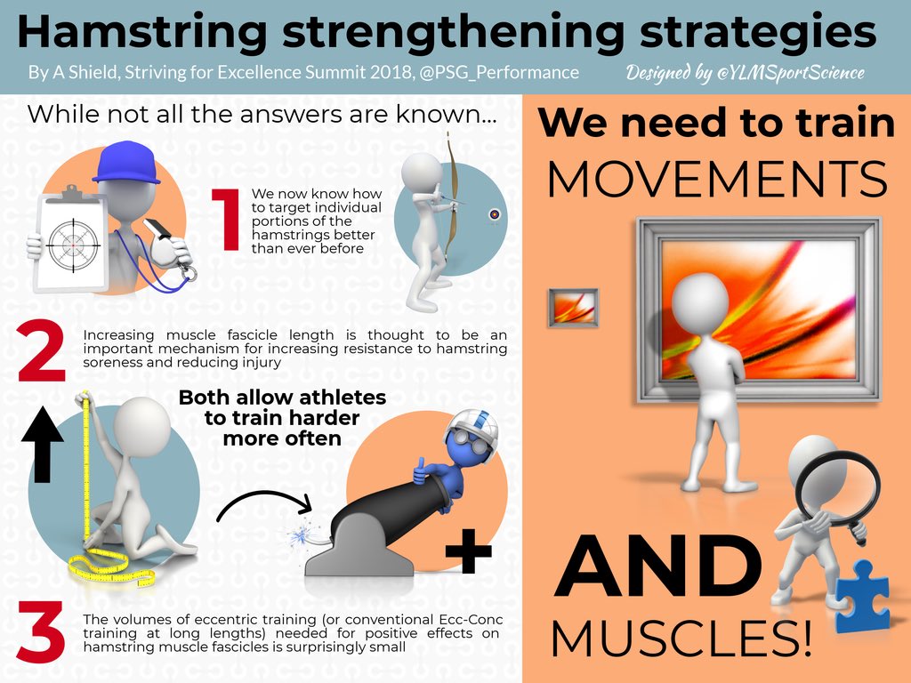 PSG_Performance's tweet photo. 💪🏻

Hamstring strengthening strategies in football by @das_shield 

👉🏻 « We need to train movements AND muscles! » 🏃🏻‍♂🎯 

🔴🔵 #PSGsummit2018 https://t.co/erASRZhozI