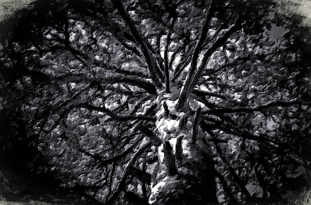 DailyPiano's tweet image. my painting, "Strength"